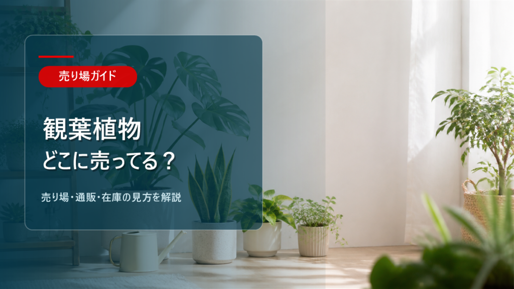 観葉植物はどこに売ってるかを解説するアイキャッチ画像
