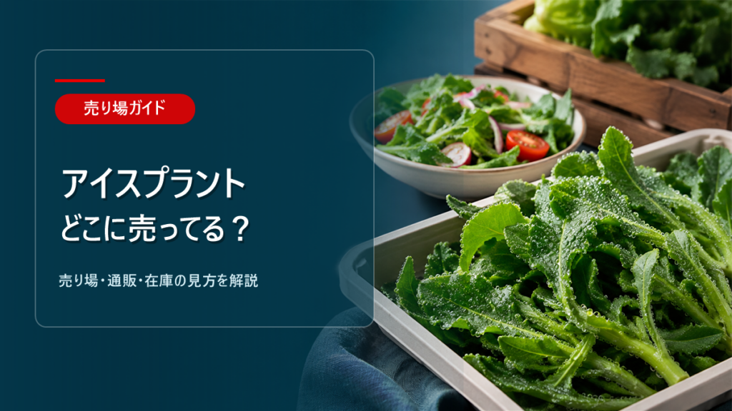 アイスプラントはどこに売ってるかを解説するアイキャッチ画像
