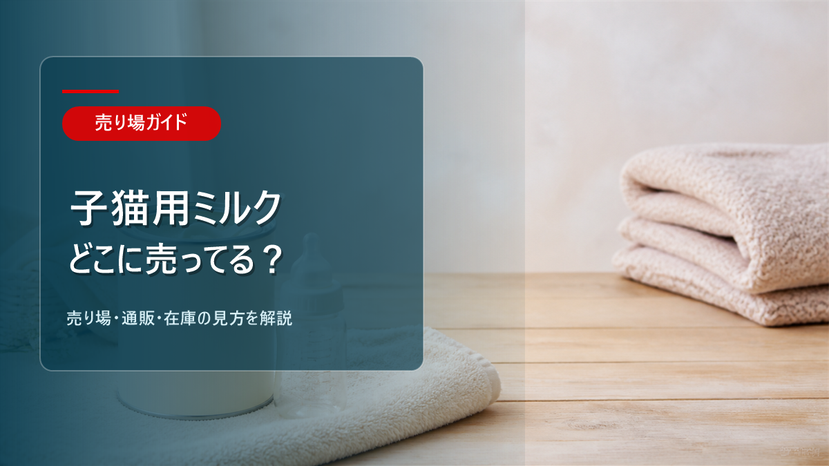 子猫用ミルクはどこに売ってるかを解説するアイキャッチ画像