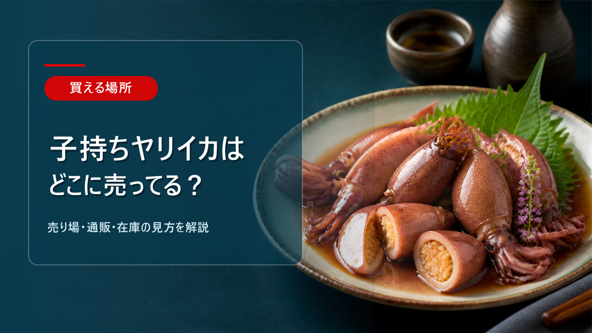 子持ちヤリイカはどこに売ってるかを解説するアイキャッチ画像