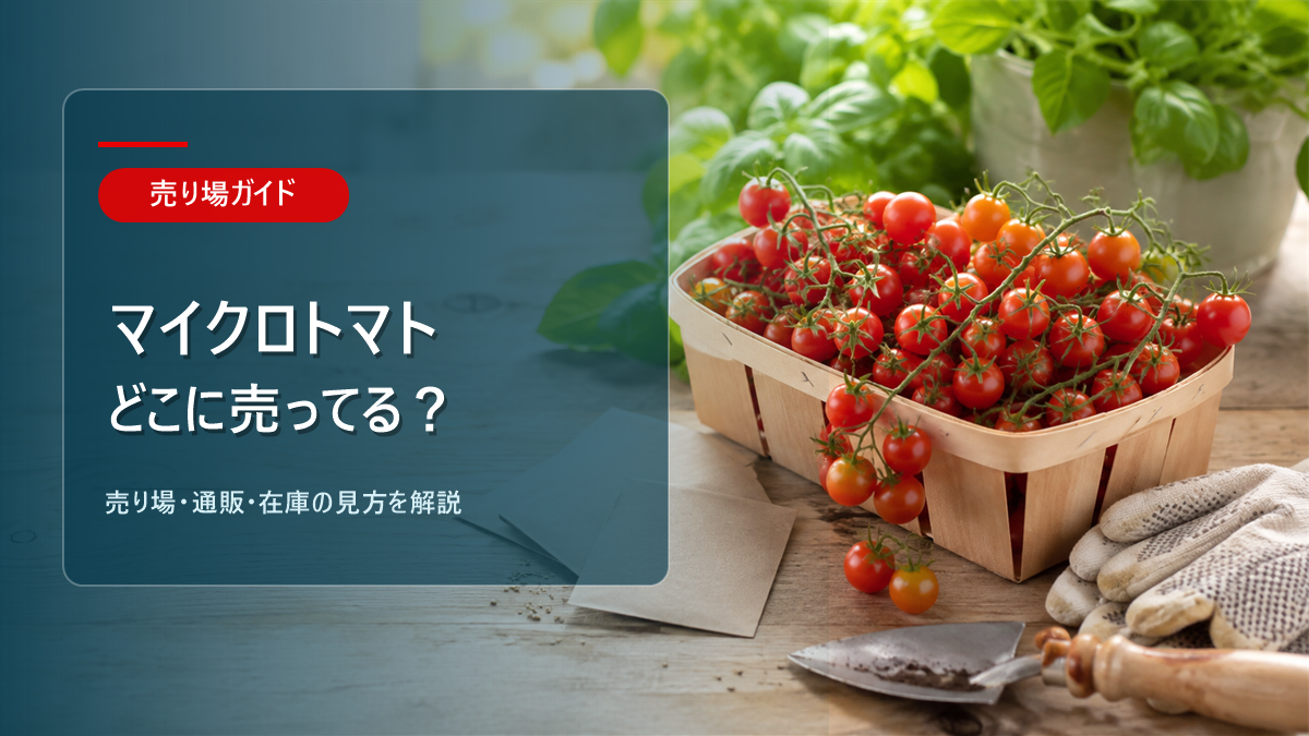マイクロトマトはどこに売ってるかを解説するアイキャッチ画像