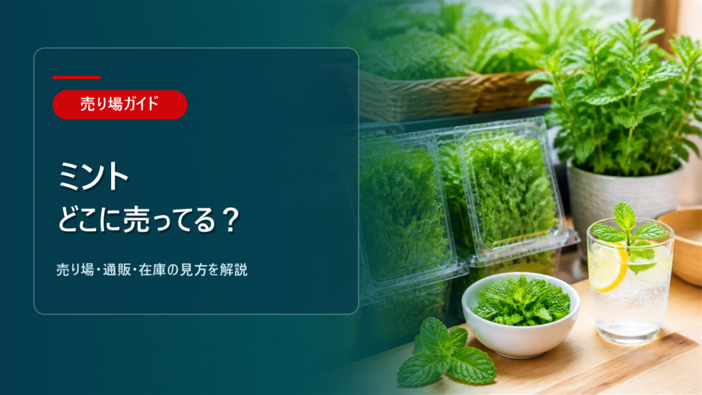ミントはどこに売ってるかを解説するアイキャッチ画像