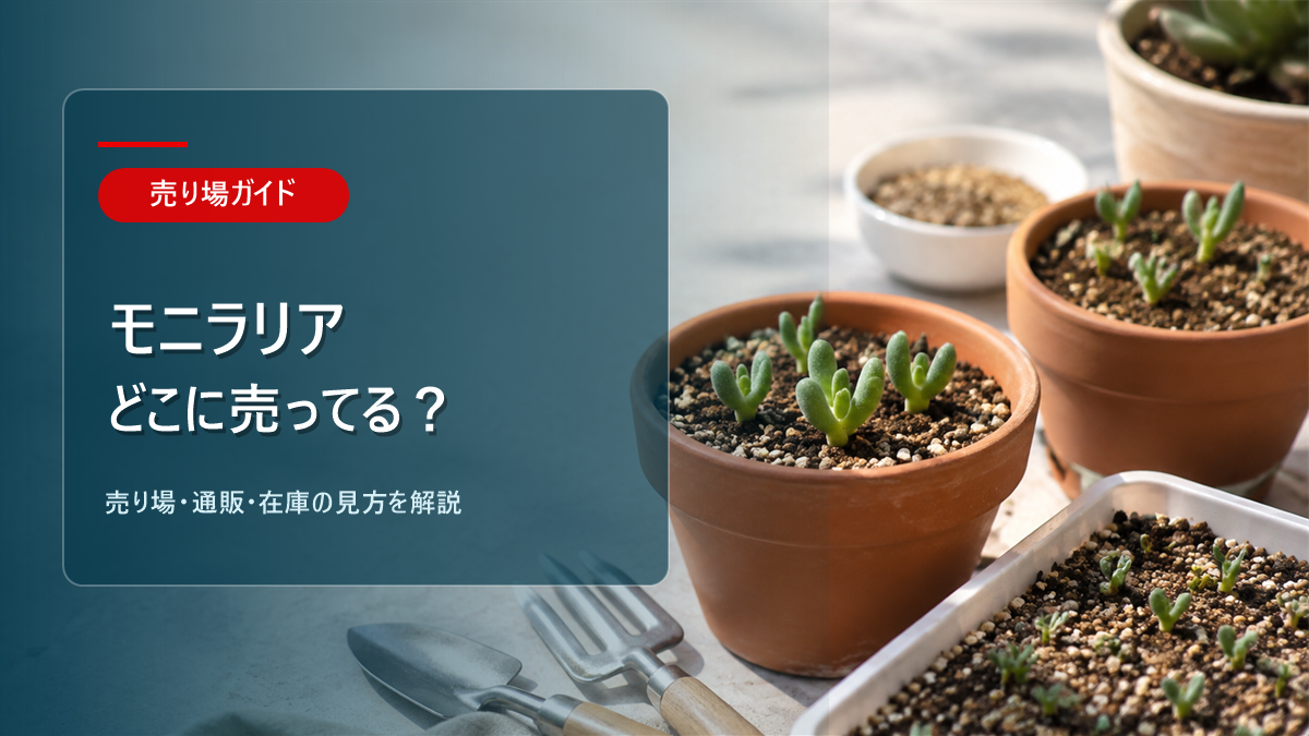モニラリアはどこに売ってるかを解説するアイキャッチ画像