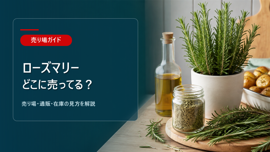 ローズマリーはどこに売ってるかを解説するアイキャッチ画像
