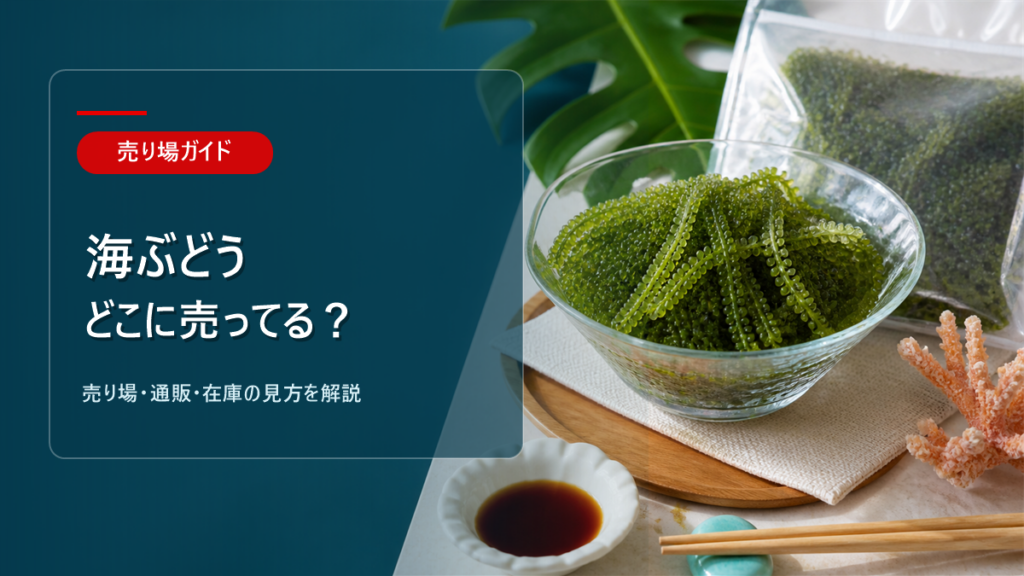 海ぶどうはどこに売ってるかを解説するアイキャッチ画像