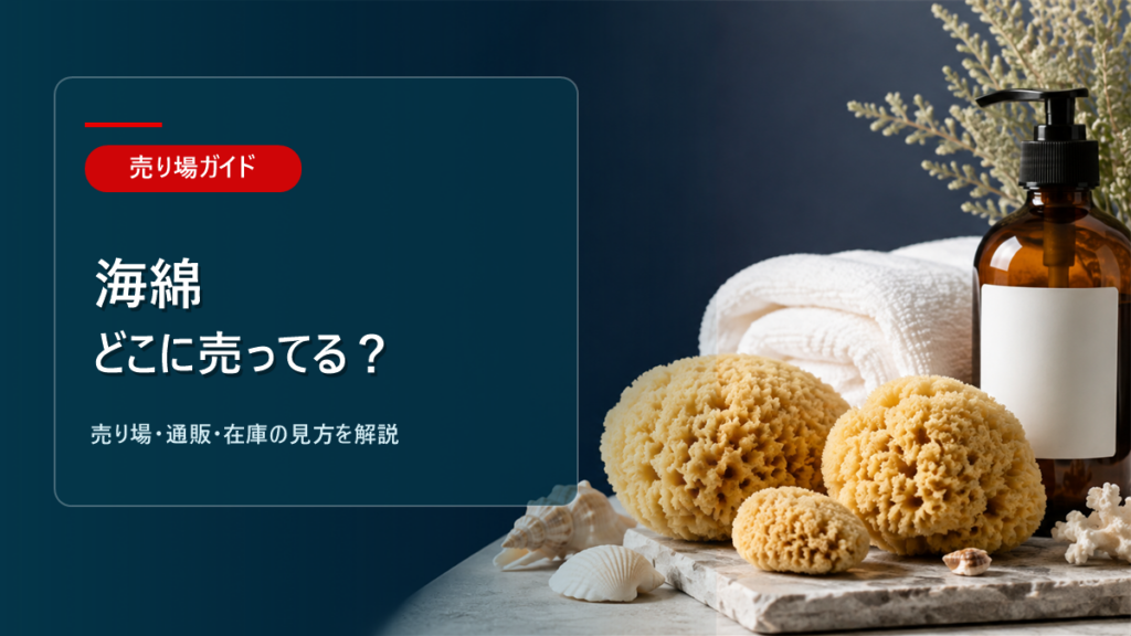 海綿はどこに売ってるかを解説するアイキャッチ画像