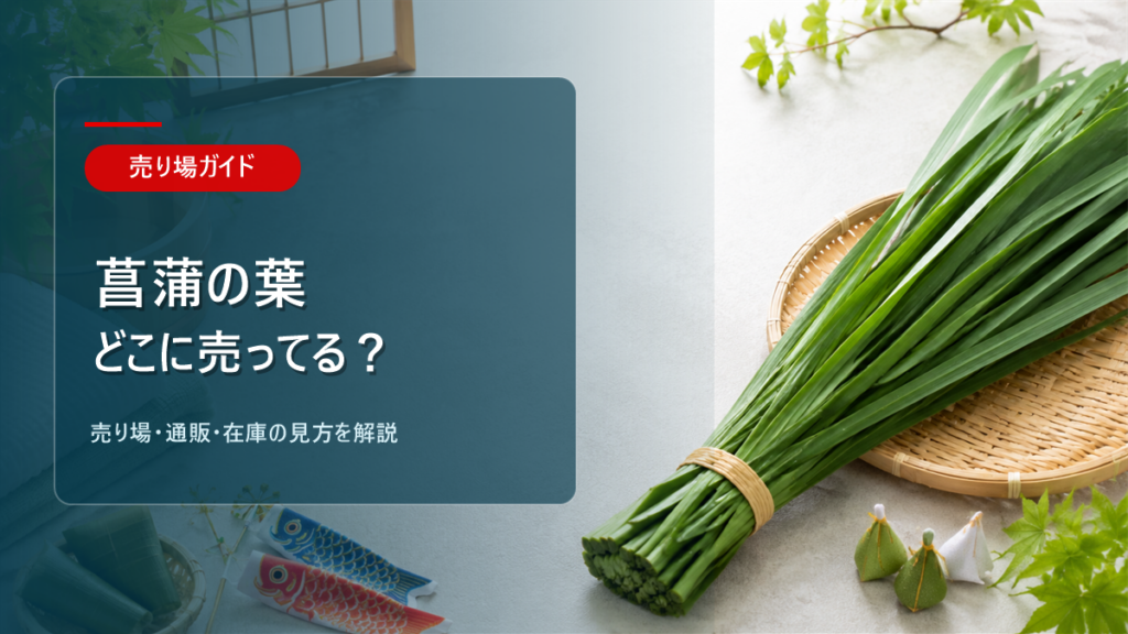 菖蒲の葉はどこに売ってるかを解説するアイキャッチ画像